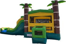 tropical bounce house with double slide